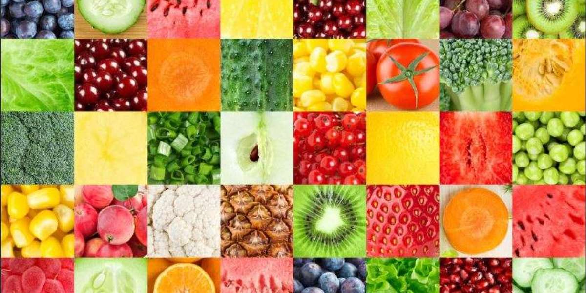 Food Texture Market (2030) Application and Geography Trends, Business Trends, Size, Growth