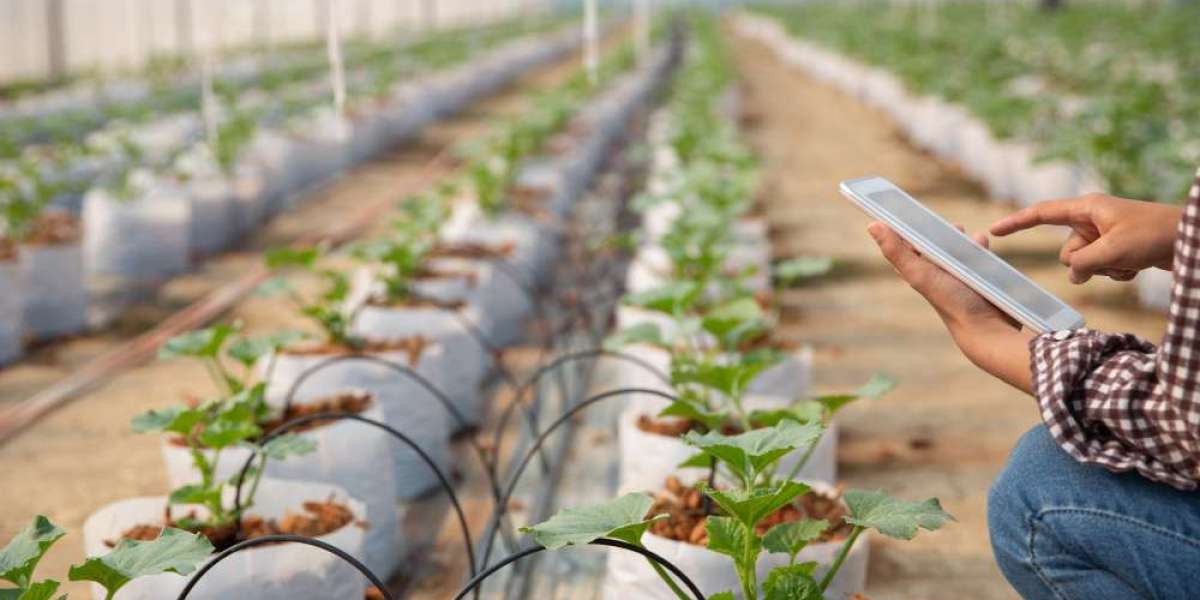 IoT Irrigation System Market Scope, Applications and Competitive Outlook To 2032