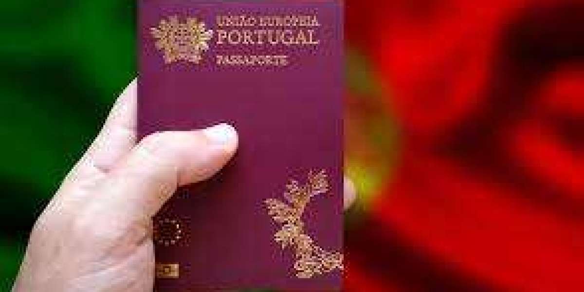 Navigating the Pathway to Portugal: A Comprehensive Guide to the D7 Visa