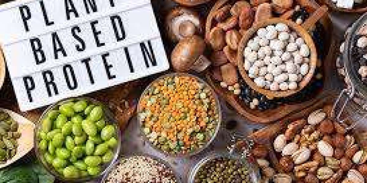 Plant-Based Protein Market: Global Industry Analysis and Forecast 2023 – 2030