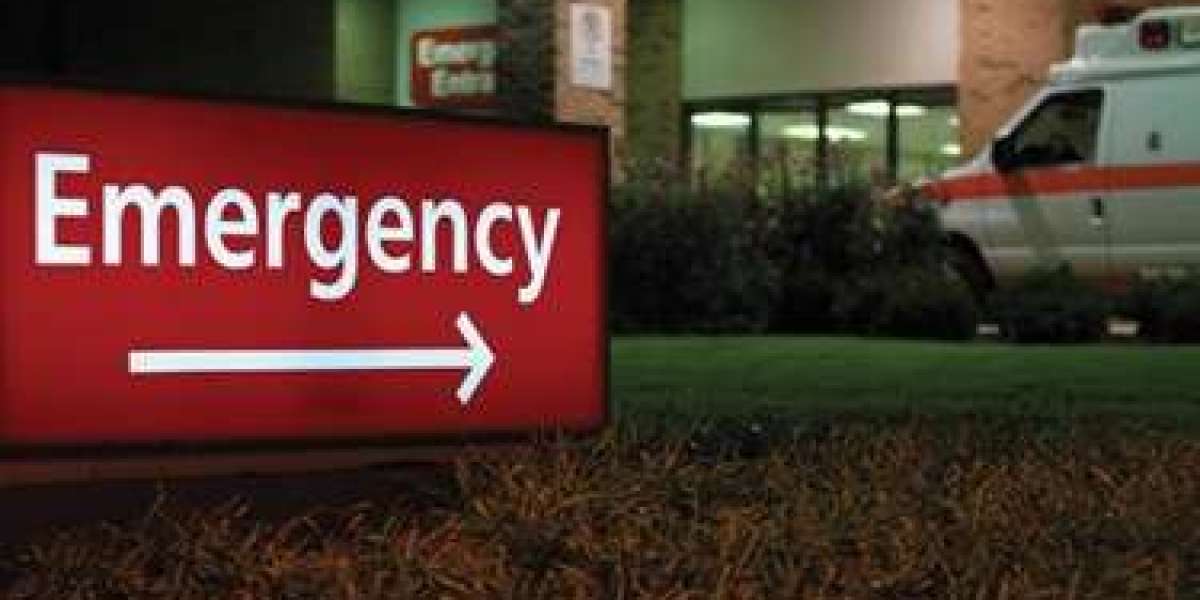 Emergency Department Information System Market Size, Share Analysis, Key Companies, and Forecast To 2030