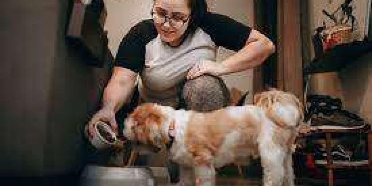 Buddy's Bark Break: Trusted In-Home Dog Sitting
