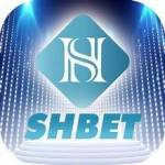 Shbet Group Profile Picture