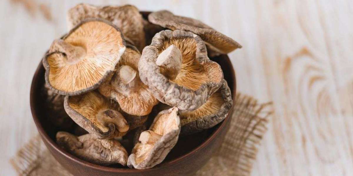 Premium Shiitake Mushroom Extracts