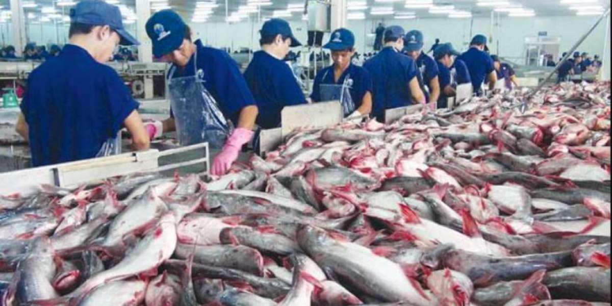 Seafood Processing Services Market Size, Share, Growth Drivers, Opportunities, Competitive Analysis, and Forecast
