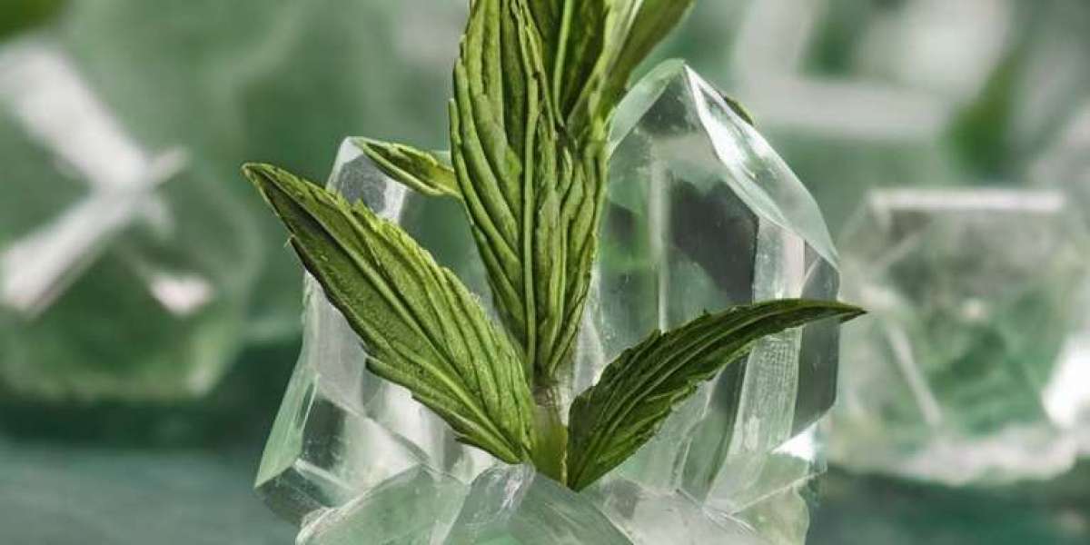 Prefeasibility Report on a Menthol Crystal Manufacturing Unit, Industry Trends and Cost Analysis