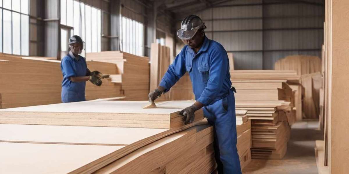 Prefeasibility Report on a Plywood Manufacturing Unit, Industry Trends and Cost Analysis
