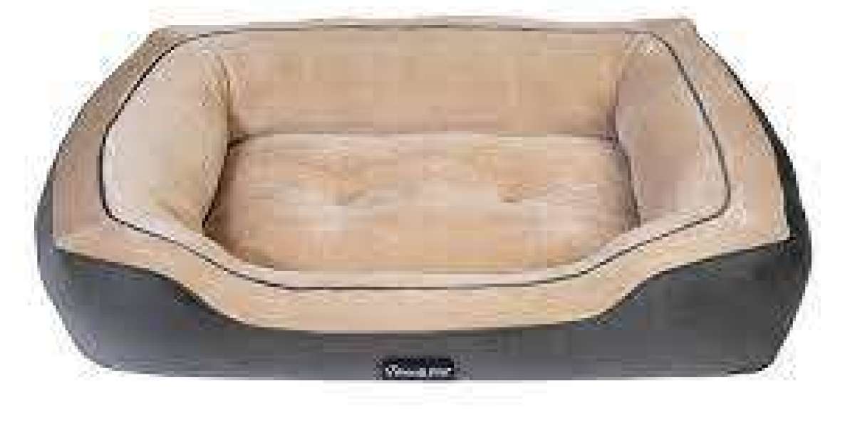 Keep Your Pet Warm and Snug: Browse our Collection of Heated Pet Beds at Whisker Wonder