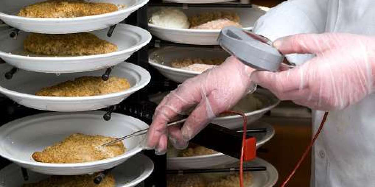 Key Food Safety Testing Market Players, Size and Growth Rate