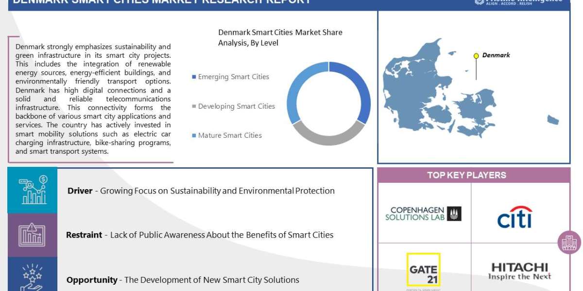Global Denmark Smart Cities Demand Study on Mineral Ingredients (2023-2030)
