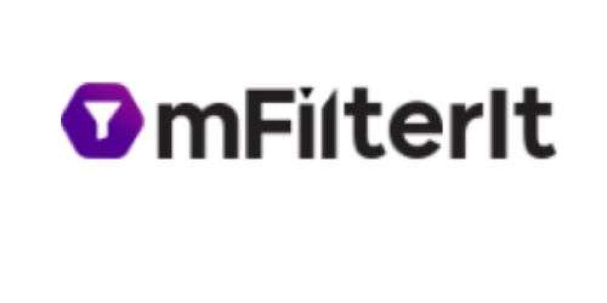 Enhancing Online Security: Unveiling the Pinnacle of Fraud Protection Services by MFilterIT