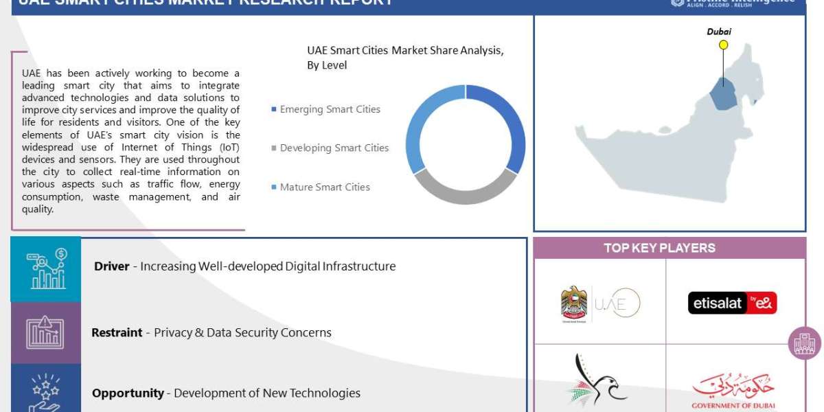 UAE Smart Cities Market: Global Industry Analysis and Forecast 2023 – 2030