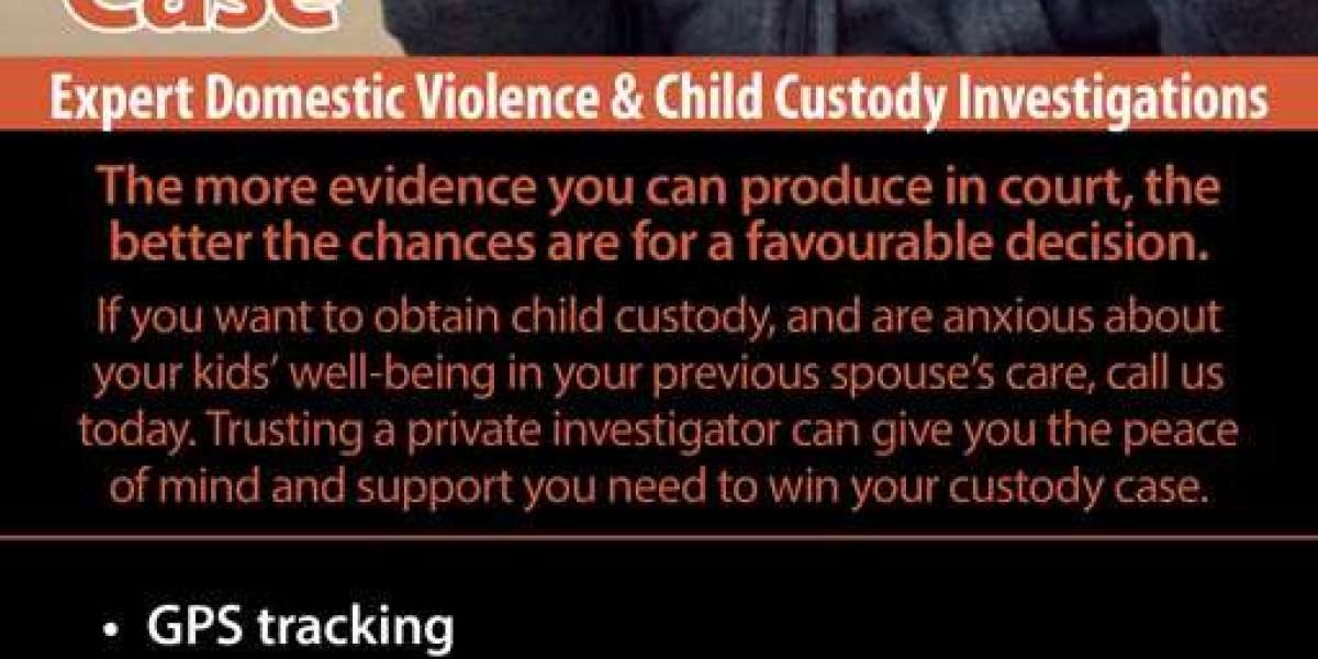 Expert Child Custody And Domestic Violence Investigation