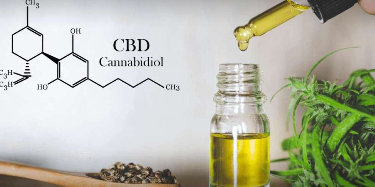 Cannabidiol Market Research Report: Analyzing Size and Revenue Growth