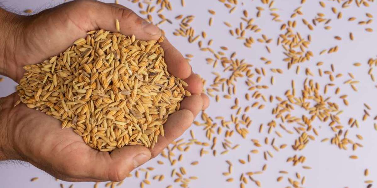 Rice DDGS Market Growth Prospects, Market Share, and Competitor Analysis Through 2032