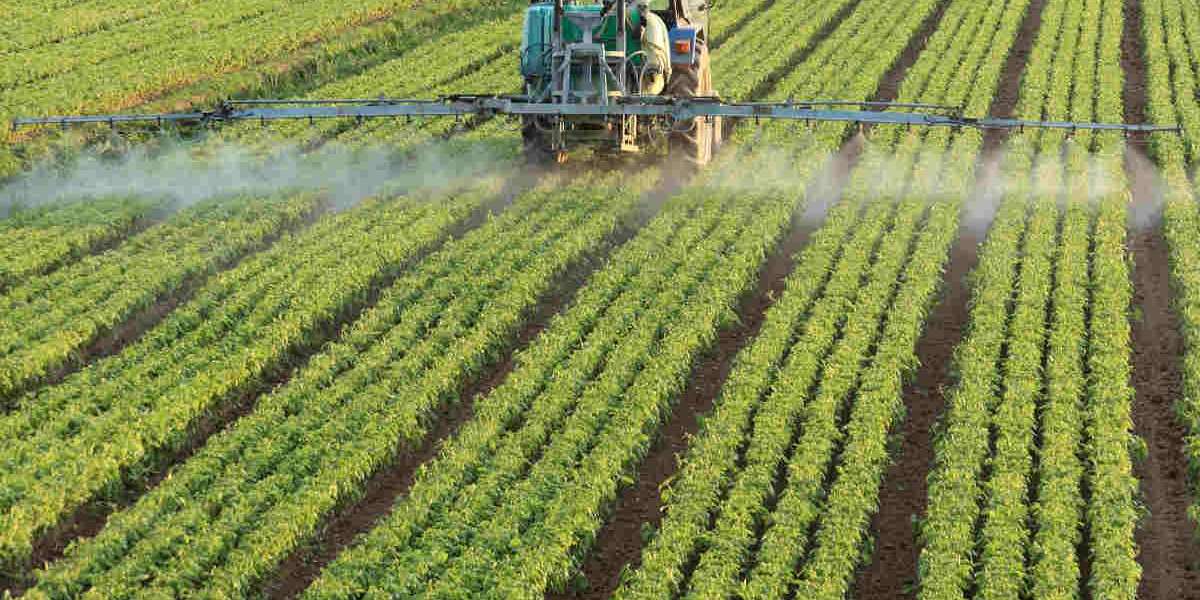United States Fertilizer Market Trends, Forecast and Industry Report 2024-2032
