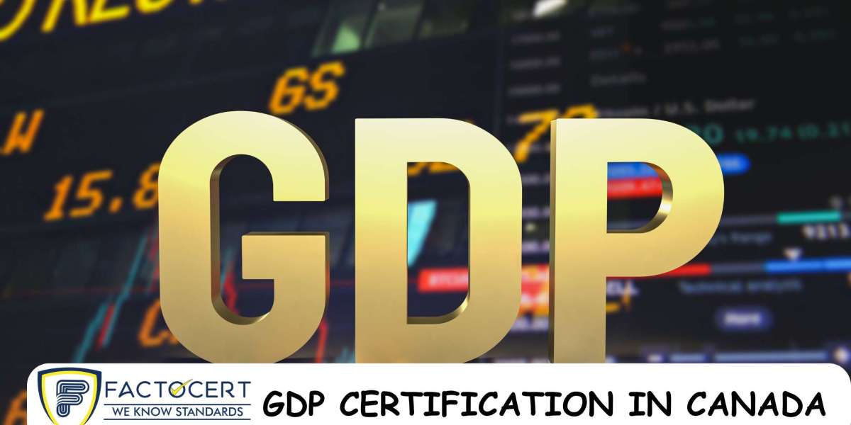 The GDP Certification Guide’s Requirements