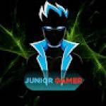 Junior Gamer