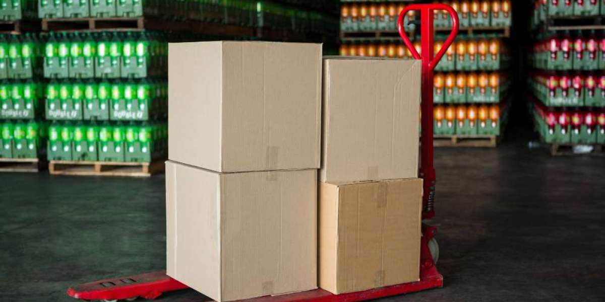 Mono-Material Barrier Packaging Market Scope, Applications and Competitive Outlook To 2032