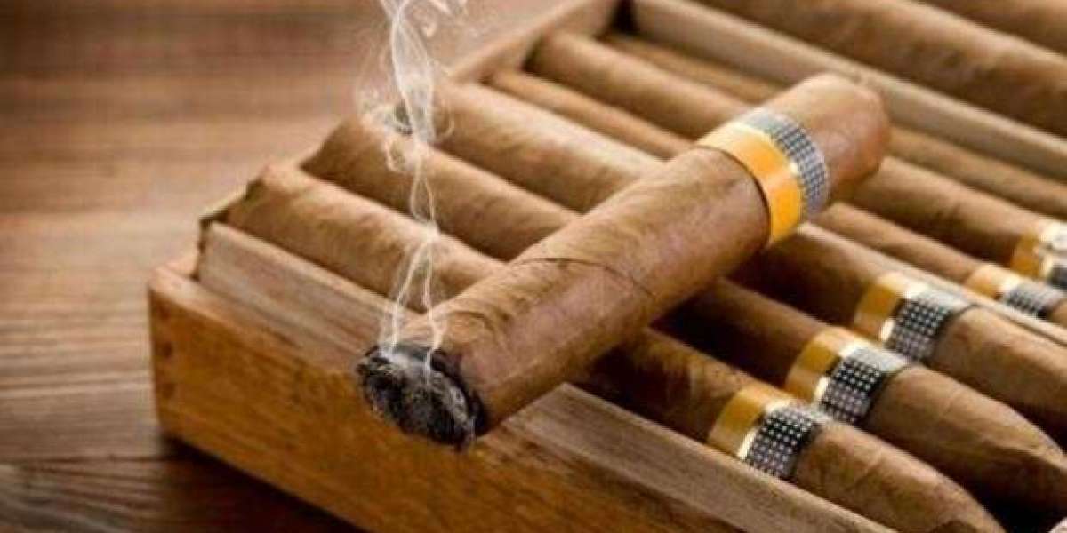 Japan Cigars and Cigarillos Market Size, Share, Forecast 2023 - 2033