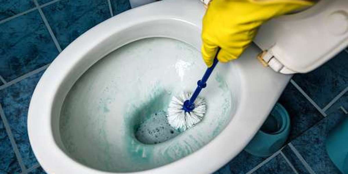 Toilet Bowl Cleaner Manufacturing Plant Project Report 2024: Raw Materials Requirement and Profit Analysis