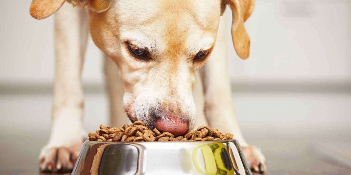 Pet Food Market Historical Analysis, Opportunities, Latest Innovations 2030