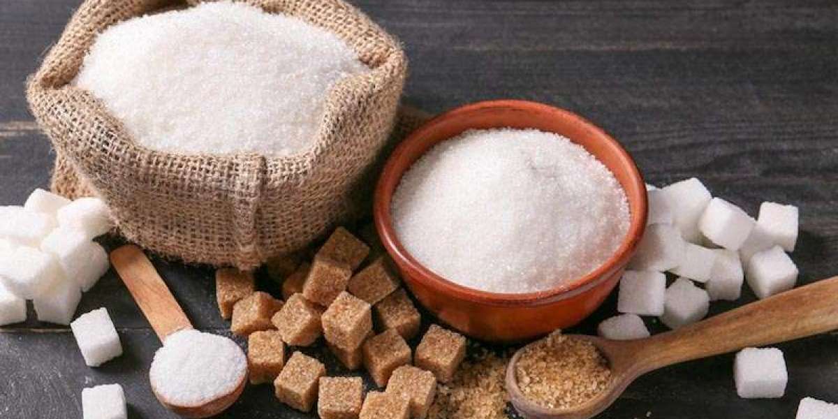 Sugar Manufacturing Plant Project Report 2024: Comprehensive Business Plan, Raw Material Requirement, and Cost Analysis