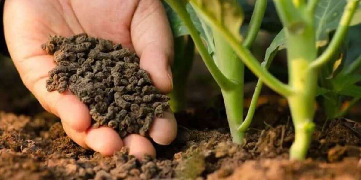 Unearth The Potential of Your Garden With Soil Remediation Services