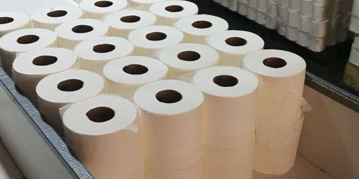 Detailed Project Report on Toilet Paper Manufacturing Plant Setup By IMARC Group