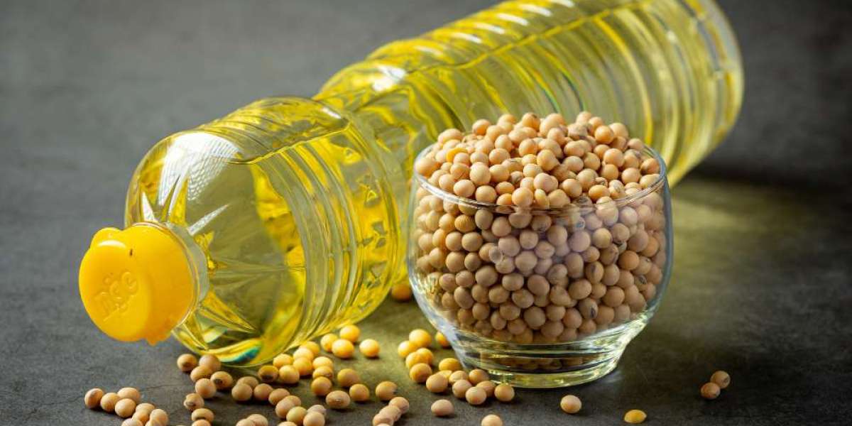 Oil’s Future Unfolded: Decoding Soybean Oil Trends at CME for Future Market Predictions