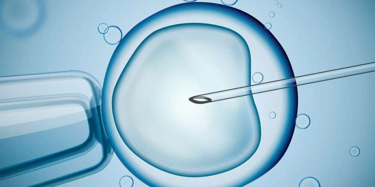 Empowering Dreams: The Role Played by the Best IVF Clinic in Ahmedabad