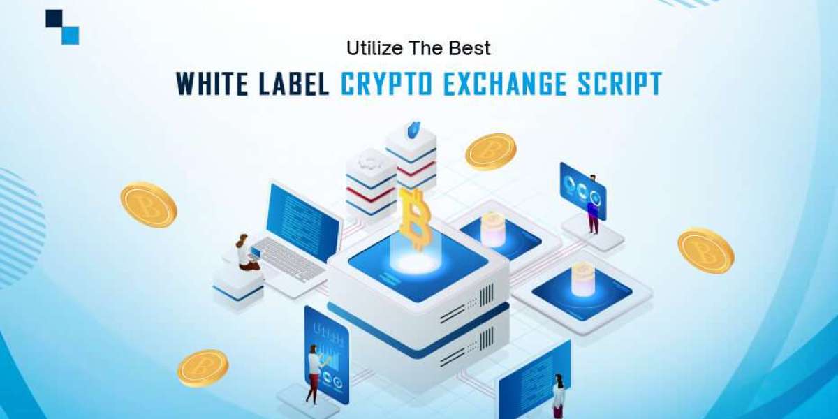 Factors Affecting the Cost of White Label Crypto Exchange Software