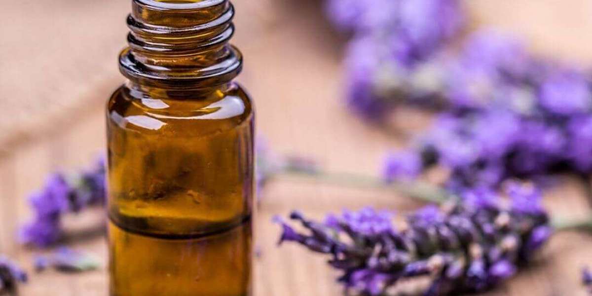 Lavender Oil Processing Plant Project Report 2024: Industry Trends, Plant Setup and Machinery