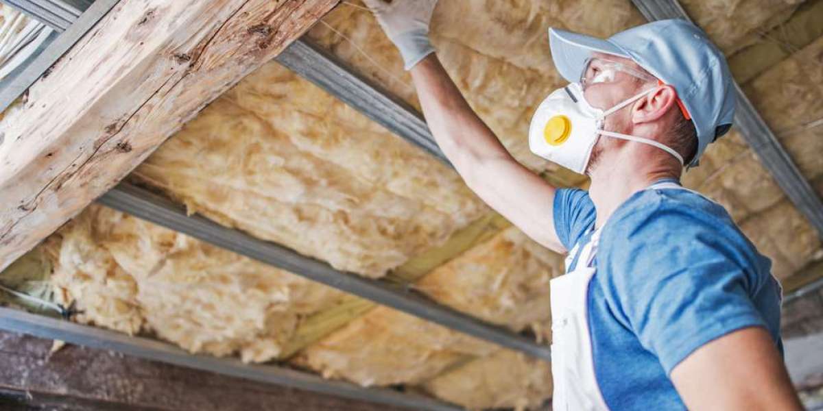 Quality Assurance Home Inspections LLC: Shedding Light on Home Comfort with Attic Inspection Services