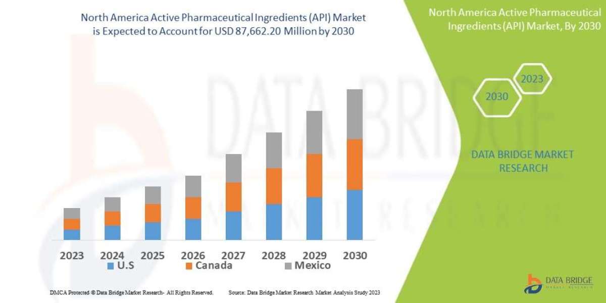 North America Active Pharmaceutical Ingredients Market Is Likely to Grasp the CAGR of 3.6% by 2030, Size, Share, Key Dri