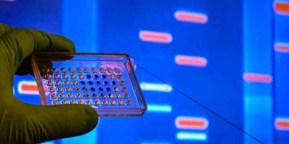 Microarray Biochips Market Size, Share, Growth Trends and Competitive Analysis 2023-2029