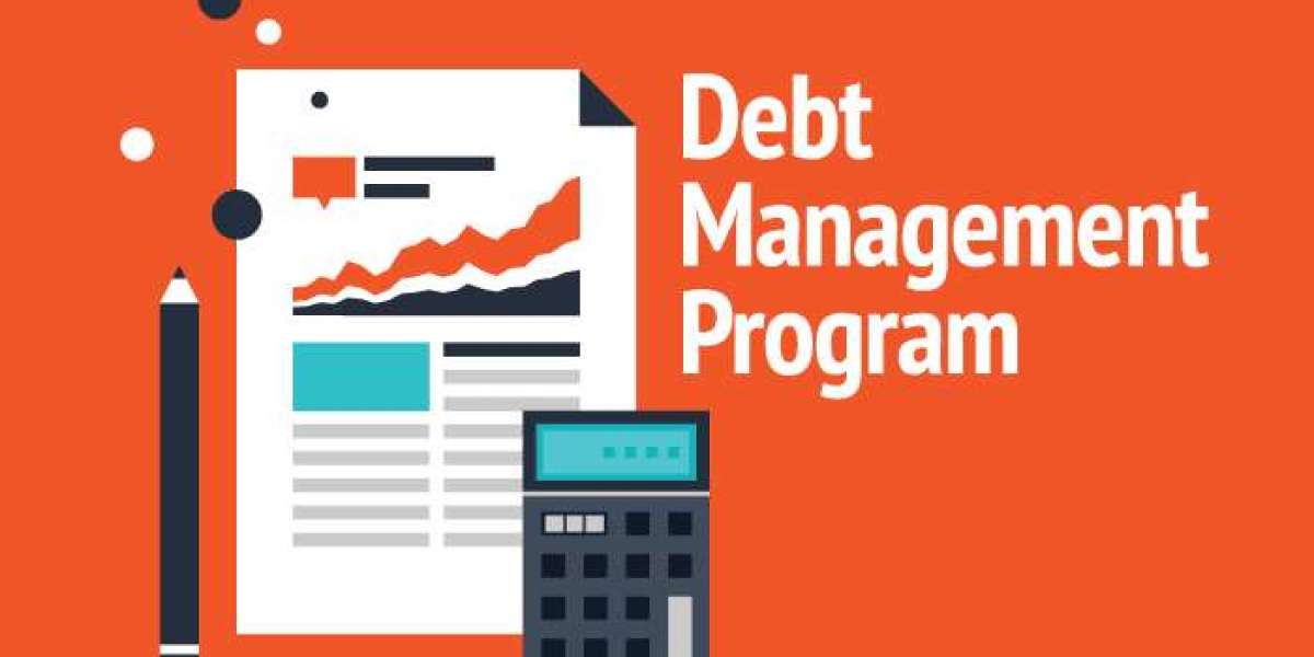 What is the Debt Management Program?
