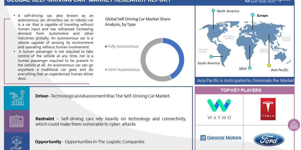 Global Self-Driving Car Market Demand Study on Mineral Ingredients (2023-2030)
