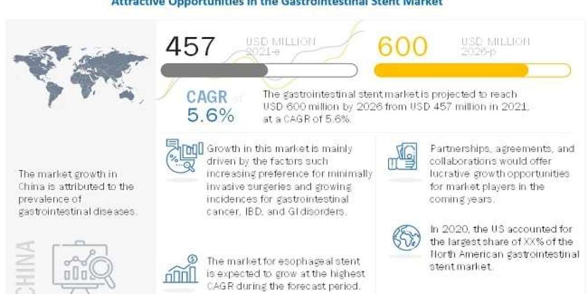 Gastrointestinal Stent Market Global Capacity, Value, Cost or Profit 2026 Forecasts