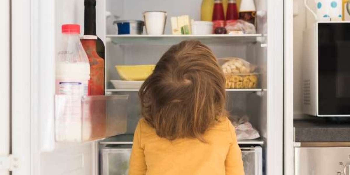 Decoding the Battle: Side-by-Side vs. French Door Refrigerators in the UAE