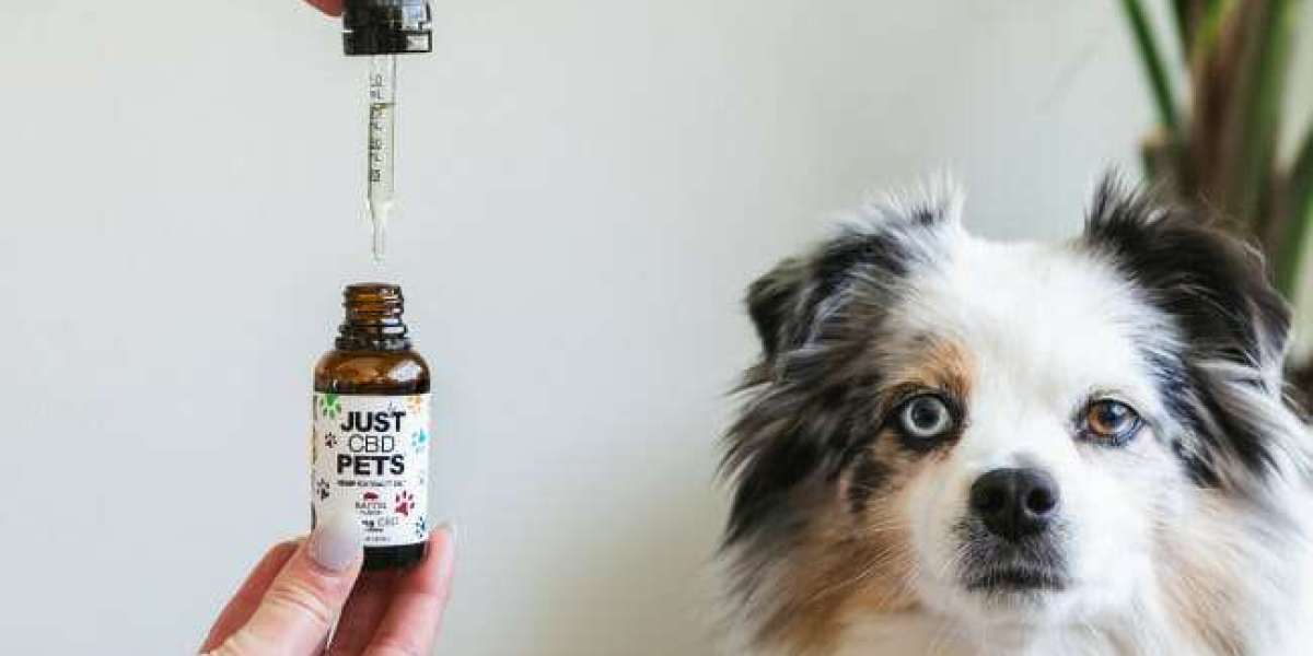 Exploring the Benefits of CBD Oil for Dogs: A Comprehensive Guide