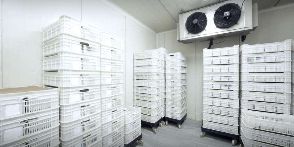 Commercial Refrigeration Equipment Market Research Report: Revenue Dynamics