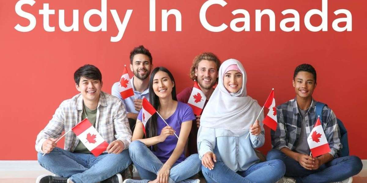 What are the requirements for a Canada student visa?