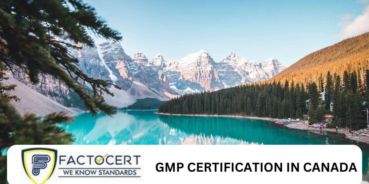 What is the process for getting GMP Certification?