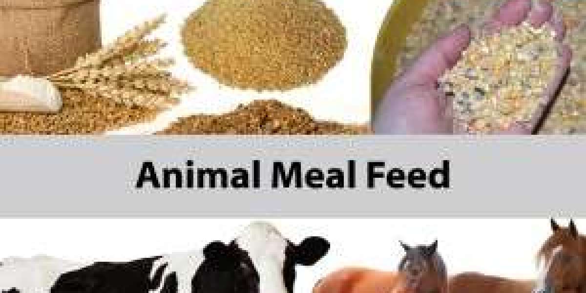 Animal Feed Premix Market to Witness Revolutionary Growth by 2030