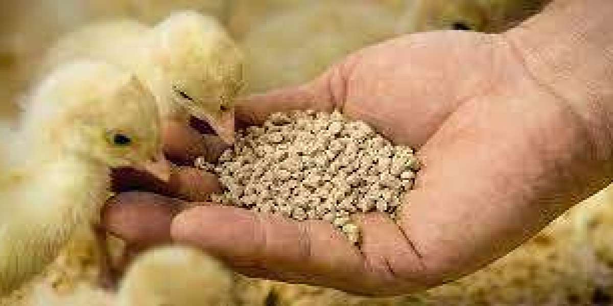 Animal Nutrition Market to Develop New Growth Story