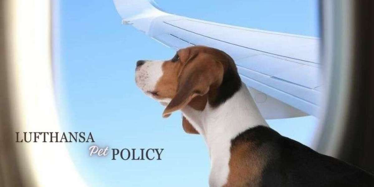 Pet policy of Lufthansa