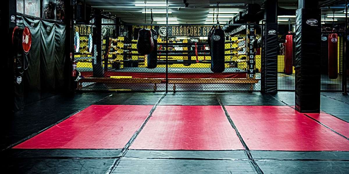 Achieve Peak Performance with MMA Training in Sydney and a Boxing Personal Trainer at Hardcore Gym.
