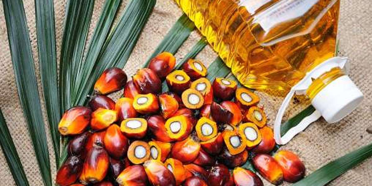 Palm Oil Market Share Analysis by Company Revenue and Forecast 2030