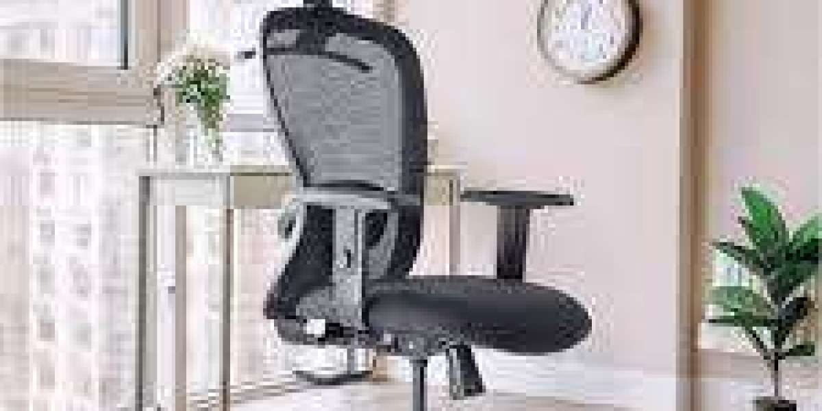 North America Ergonomic Chair Market Size, Share, Forecast to 2033